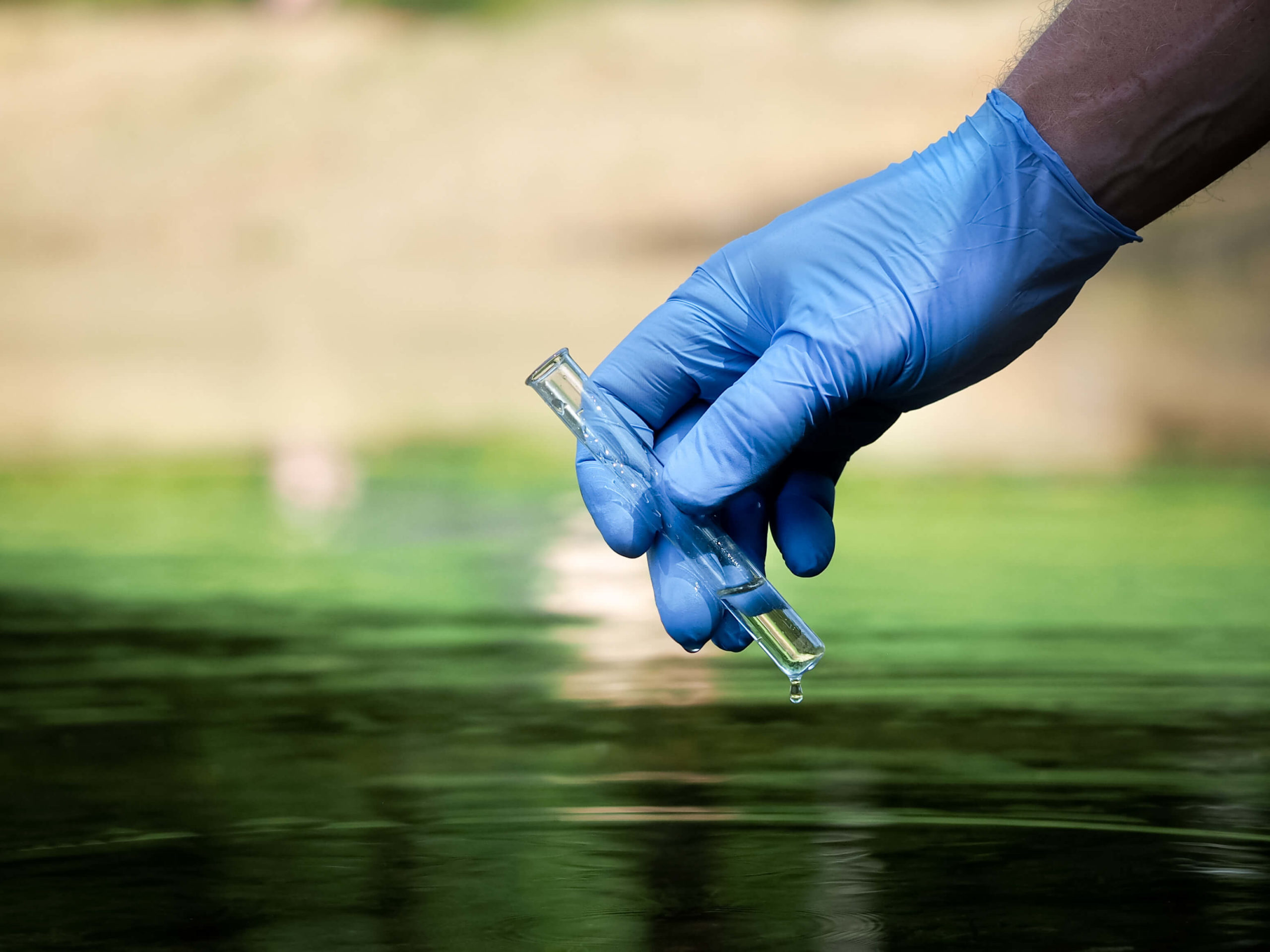 What is Water Turbidity, and how can you properly measure it?